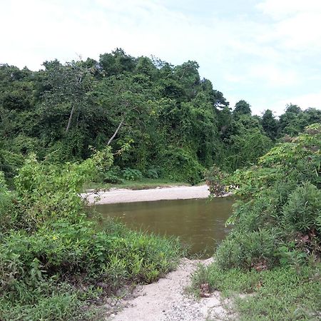 Cabana Wiwa Tayrona Los Naranjos Luaran gambar