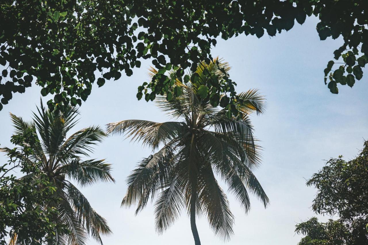 Cabana Wiwa Tayrona Los Naranjos Luaran gambar