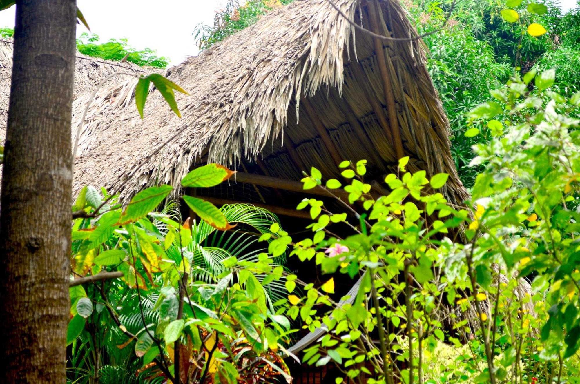Cabana Wiwa Tayrona Los Naranjos Luaran gambar