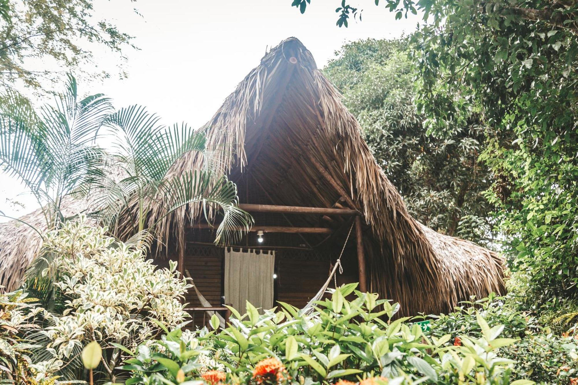 Cabana Wiwa Tayrona Los Naranjos Luaran gambar