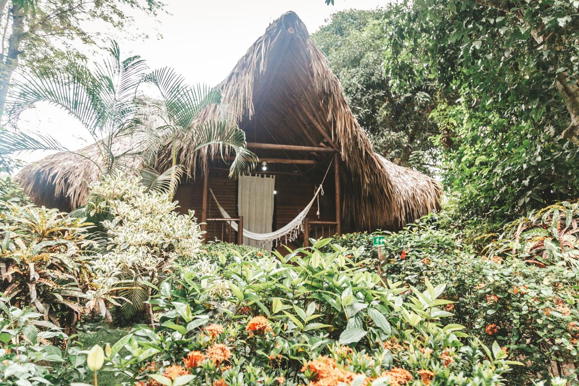 Cabana Wiwa Tayrona Los Naranjos Luaran gambar